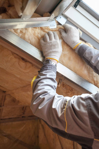 Best Insulation Maintenance and Repair in Mountlake Terrace, WA