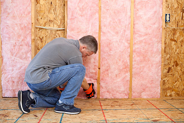 Best Residential Insulation in Mountlake Terrace, WA